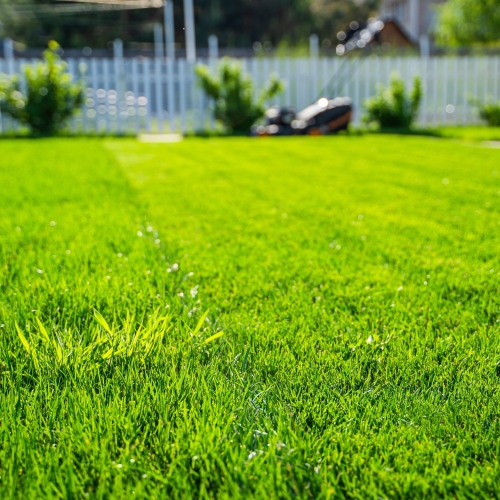 Anlæg af græsplæne på Sjælland